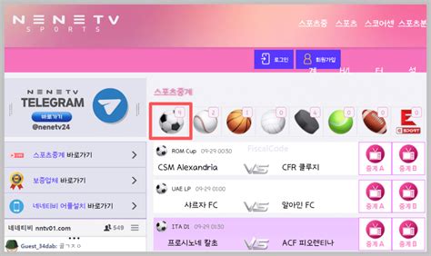 네네티비 .